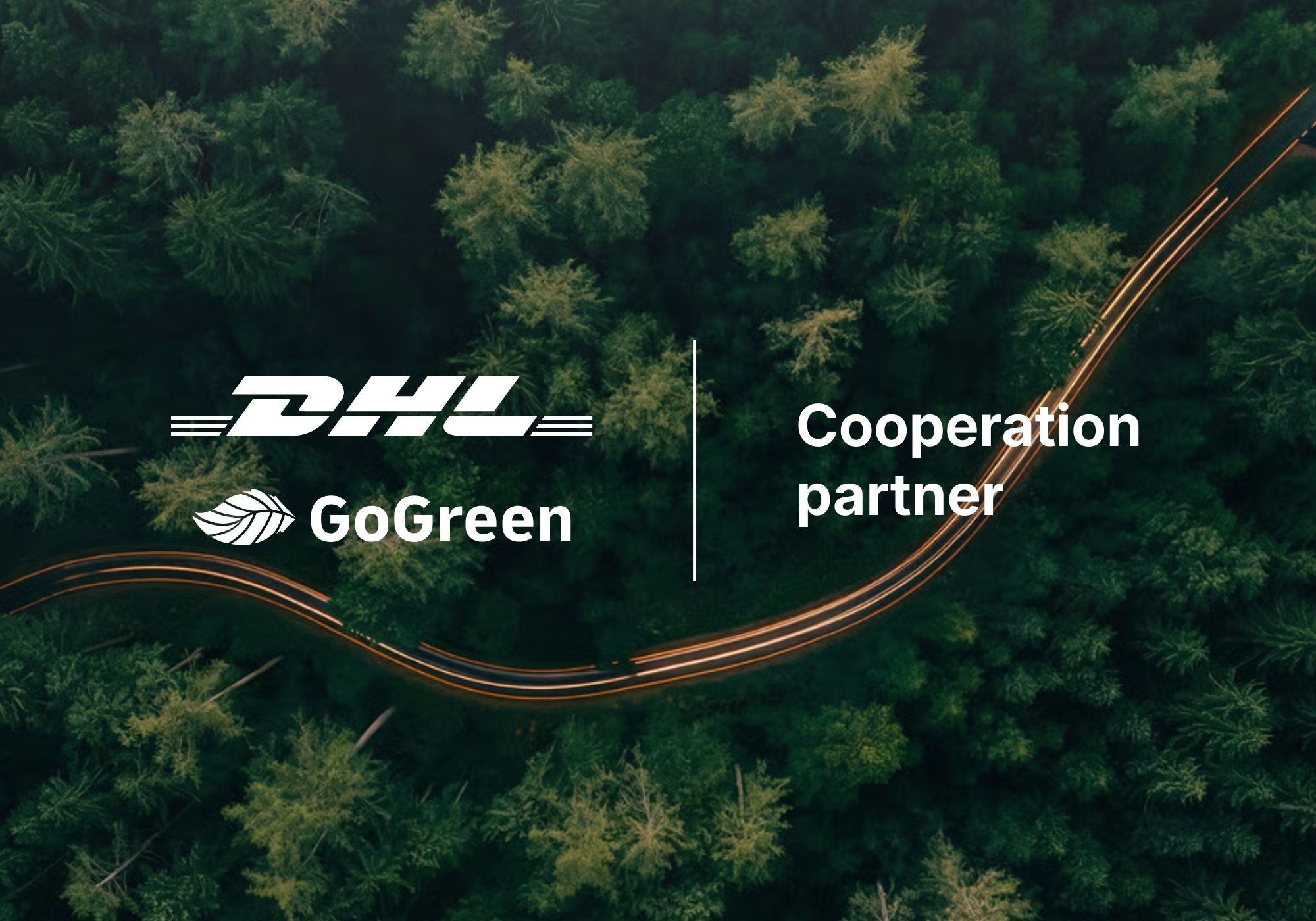 Lieferwagen im Wald in der Dämmerung, klimafreundlicher Versand mit DHL GoGreen