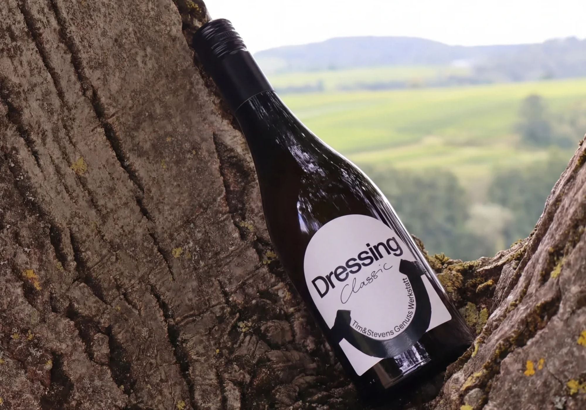 Tim & Stevens Dressings in einer Baumgabelung, Rheingau im Hintergrund